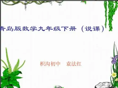 袁 九年级下册说课