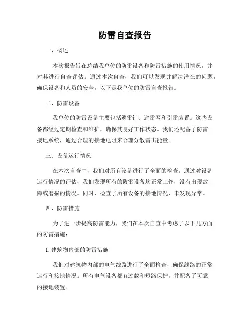 防雷自查报告