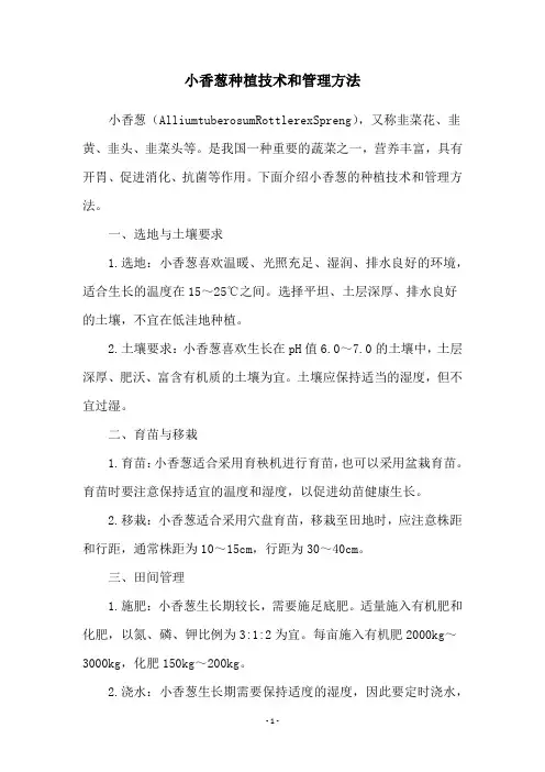 小香葱种植技术和管理方法