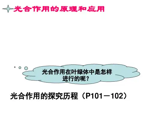 光与光合作用2ppt