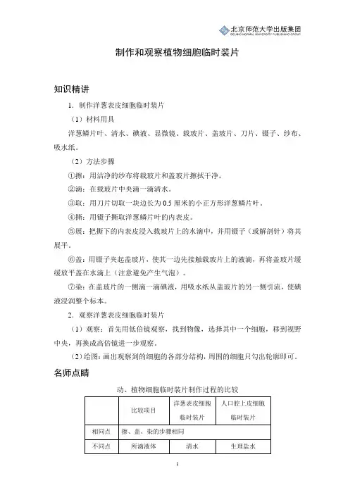 初中生物知识讲解：制作和观察植物细胞临时装片