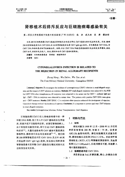 肾移植术后排斥反应与巨细胞病毒感染有关