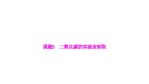 6.3二氧化碳的实验室制取-2024-2025学年九年级化学人教版(2024)上册