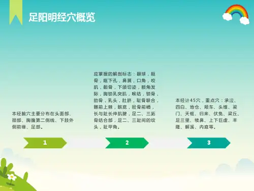 经络腧穴各论-足六经穴