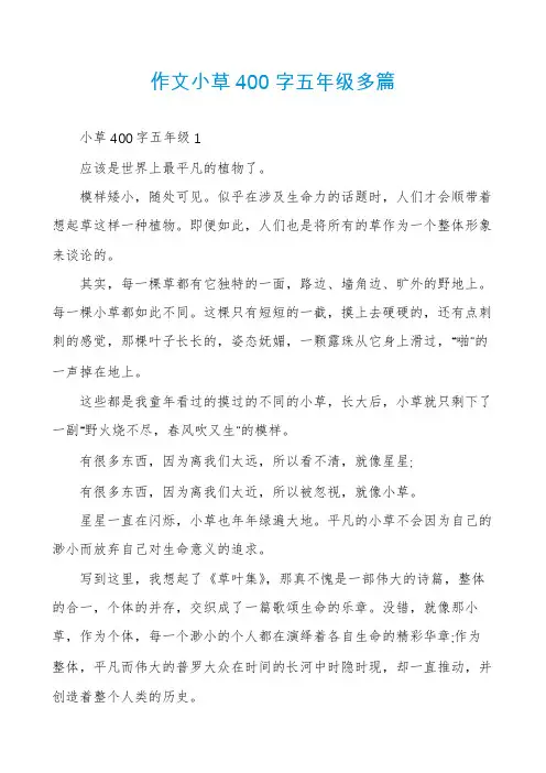 作文小草400字五年级多篇