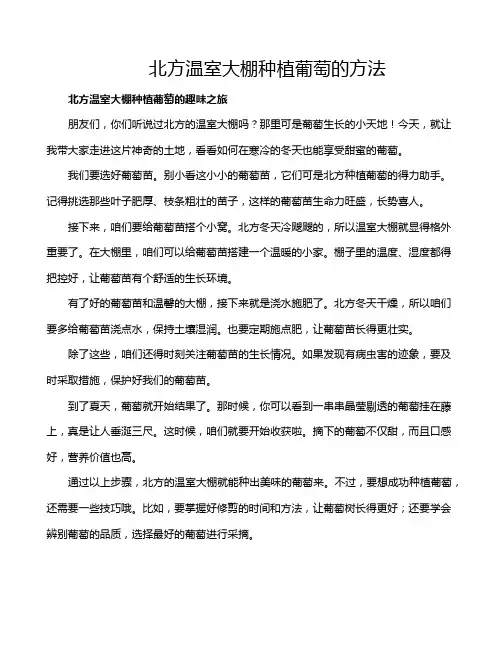 北方温室大棚种植葡萄的方法