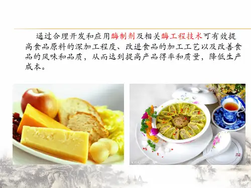 酶在食品中的应用讲课课件