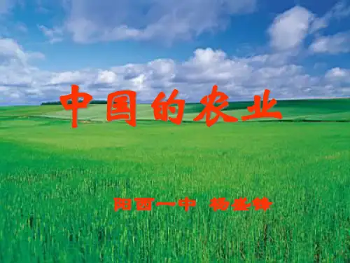 中国地理：中国的农业(共46张PPT).