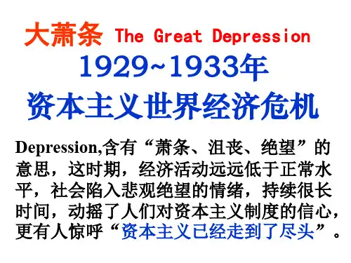 论资本主义世界经济危机(ppt 43页)