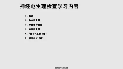 神经电生理检查ppt课件PPT课件