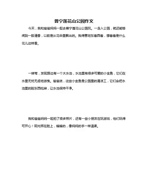 普宁莲花山公园作文