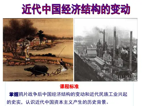 人教版必修二-第九课-近代中国经济结构的变动-课件-33ppt