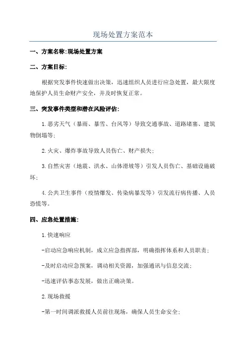 现场处置方案范本