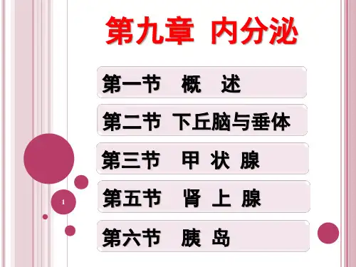 第九章  内分泌--生理学PPT