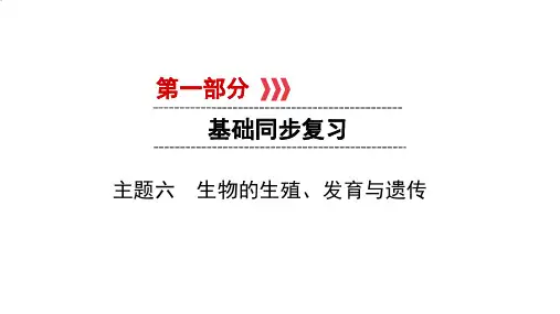 中考生物一轮复习课件：主题生物的遗传和变异