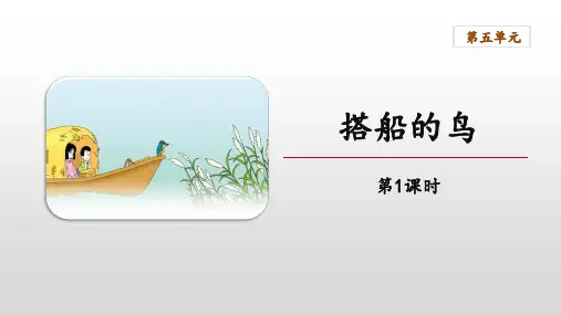 15搭船的鸟  第一课时 (课件)(共25张PPT)