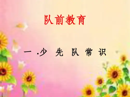 入队前少队基本知识教育ppt课件