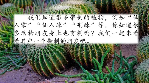 部编版三年级语文上册23带刺的朋友课件PPT