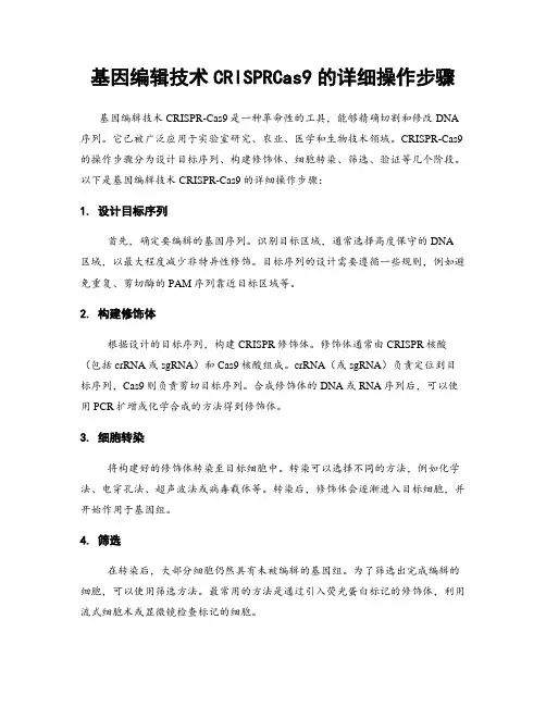 基因编辑技术CRISPRCas9的详细操作步骤