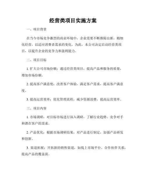 经营类项目实施方案