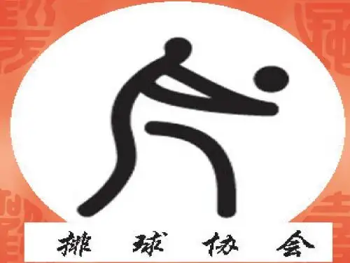 排球协会Microsoft PowerPoint 演示文稿