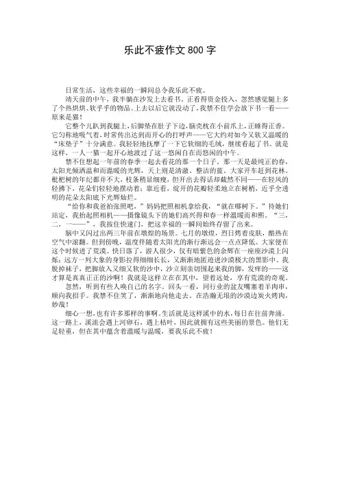 乐此不疲作文800字