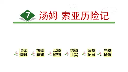 《汤姆·索亚历险记》PPT(完美版)