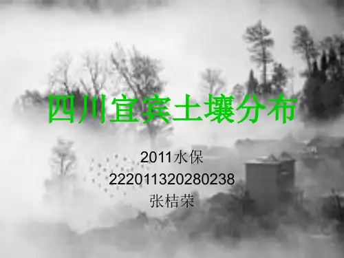 四川宜宾土壤概况