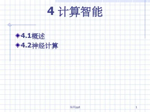 《计算智能》PPT课件