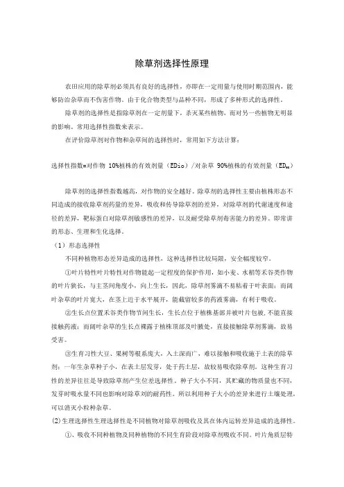 除草剂选择性原理