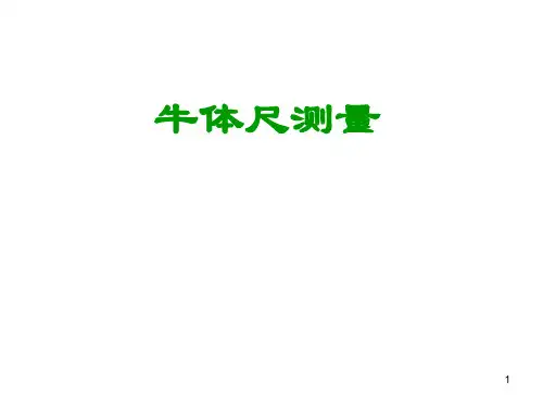 牛的体尺测量ppt课件