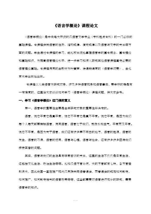 《语言学概论》课程论文