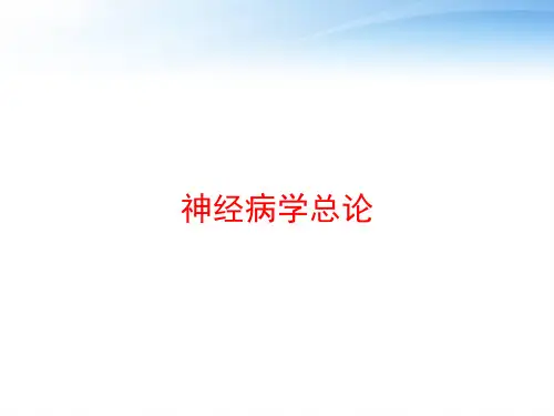 神经病学总论 ppt课件