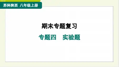 2024年苏科版八年级上册物理期末复习专题四实验题
