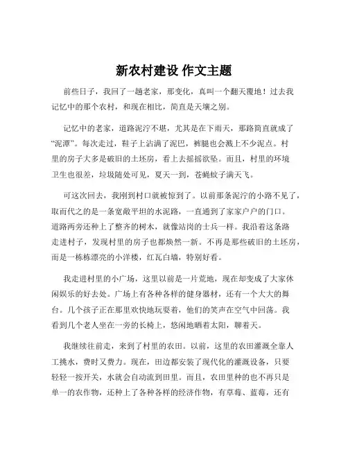 新农村建设 作文主题
