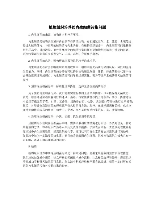 植物组织培养的内生细菌污染问题