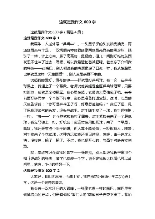 这就是我作文600字（精选4篇）