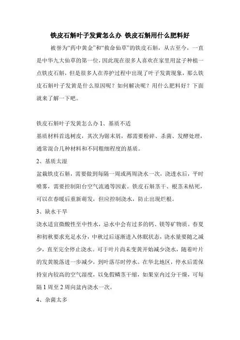 铁皮石斛叶子发黄怎么办 铁皮石斛用什么肥料好