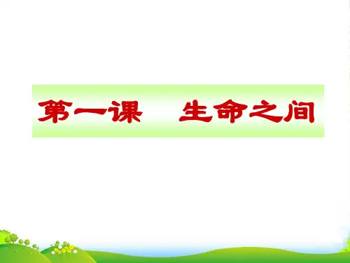 七年级政治上册 第一课《生命之间》课件 人民