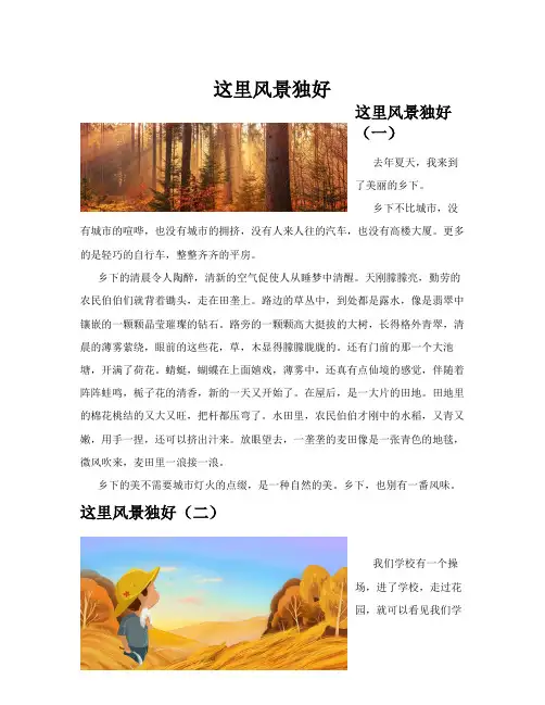 这里风景独好(共10篇)