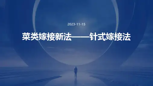 菜类嫁接新法——针式嫁接法