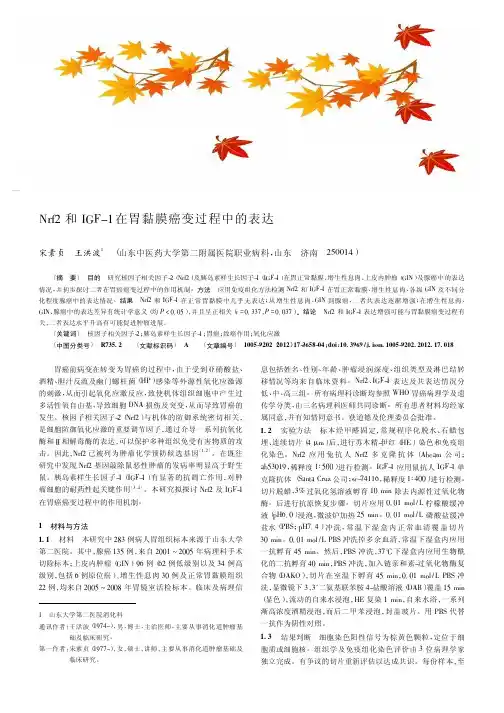 Nrf2和IGF-1在胃黏膜癌变过程中的表达