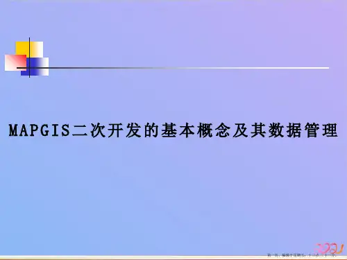 MAPGIS的基本概念和体系结构ppt课件