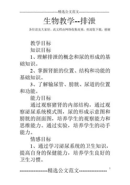 生物教学--排泄