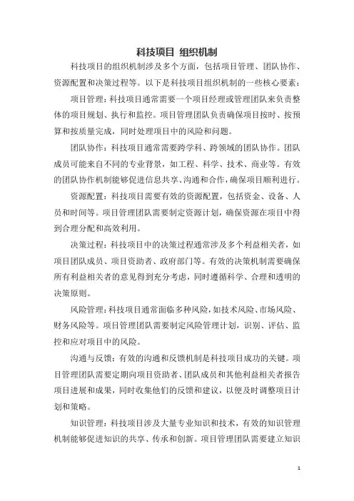 科技项目 组织机制