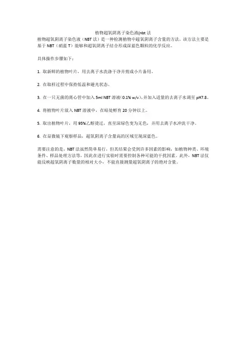植物超氧阴离子染色液(nbt法