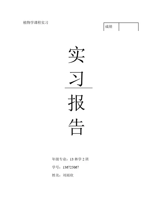 植物学实验报告