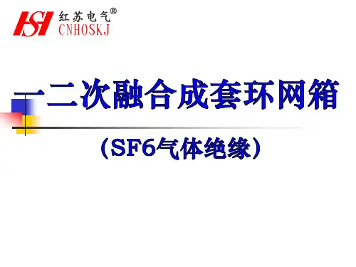 一二次融合成套环网箱(SF6气体绝缘)首选红苏电气