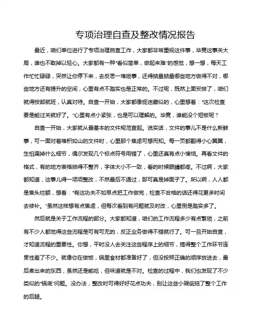 专项治理自查及整改情况报告