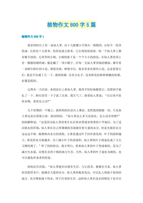 植物作文800字5篇